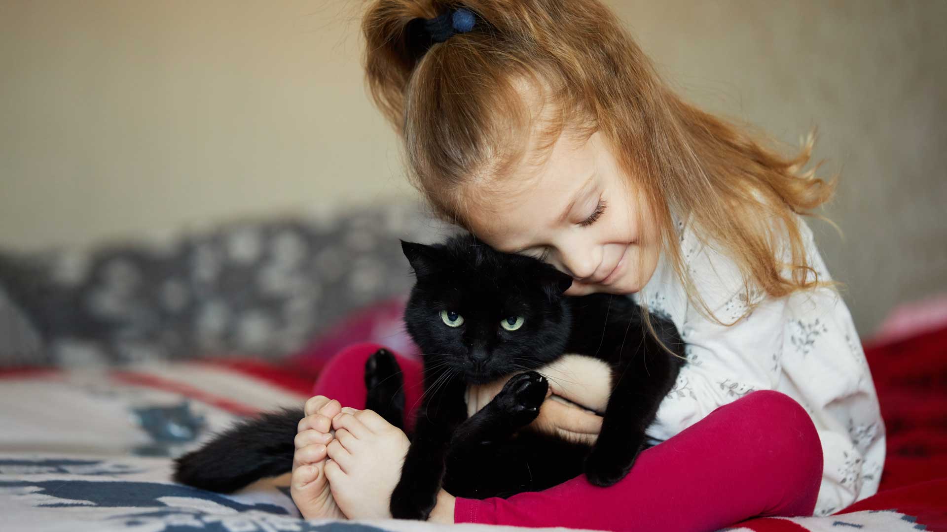 Why Are Black Cats So Sweet.