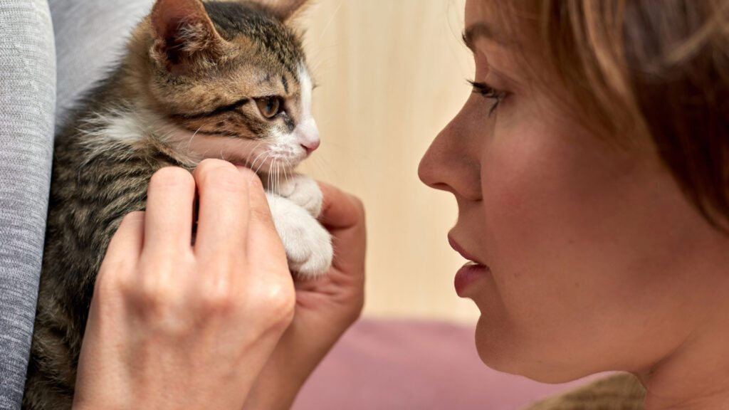 stop cat  from licking the carpet