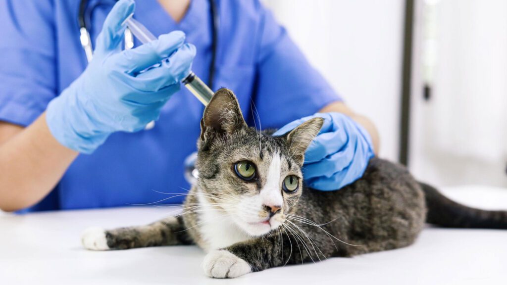 anesthesia is given with a syringe and needle