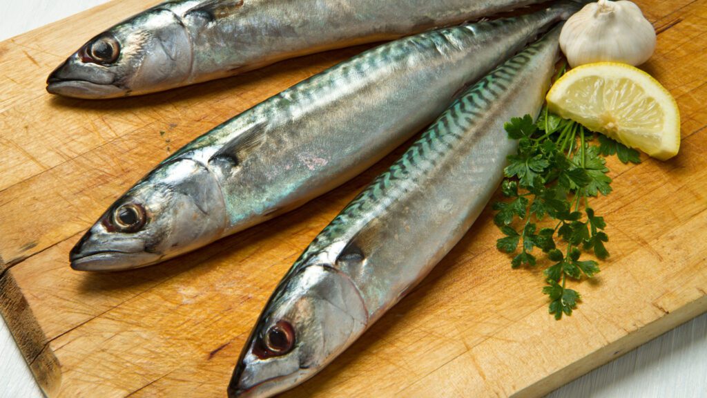benefits of eating mackerel fish. cats eat mackerels