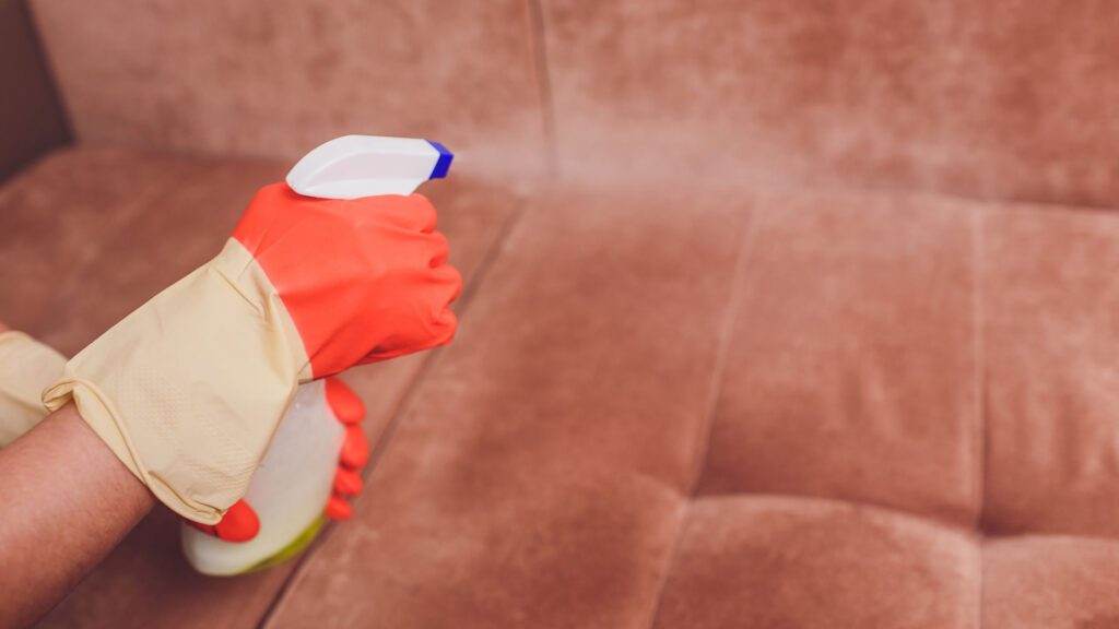 cat repellent spray at furniture to stop cat from scratching the furniture