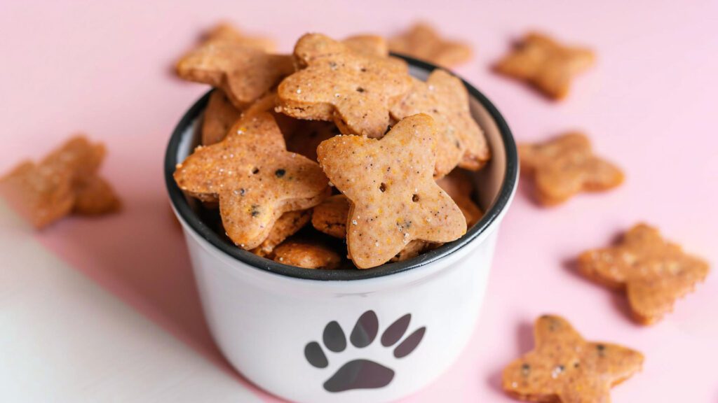 crackers for cats